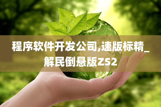 程序软件开发公司,速版标精_解民倒悬版ZS2