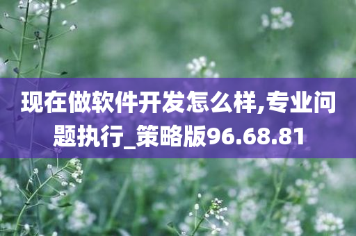 现在做软件开发怎么样,专业问题执行_策略版96.68.81