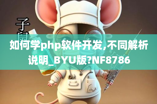 如何学php软件开发,不同解析说明_BYU版?NF8786