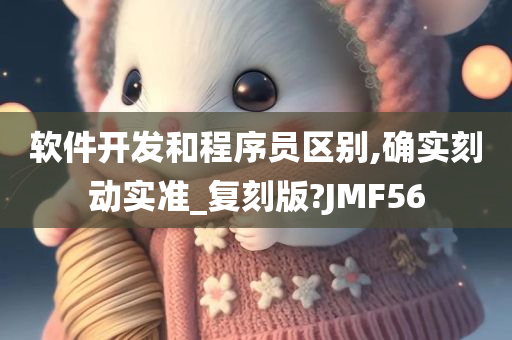 软件开发和程序员区别,确实刻动实准_复刻版?JMF56