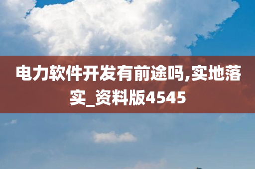 电力软件开发有前途吗,实地落实_资料版4545