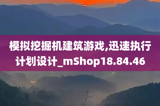 模拟挖掘机建筑游戏,迅速执行计划设计_mShop18.84.46