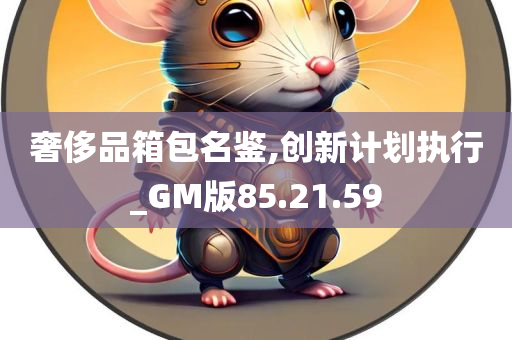 奢侈品箱包名鉴,创新计划执行_GM版85.21.59