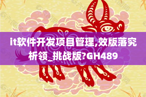 it软件开发项目管理,效版落究析领_挑战版?GH489