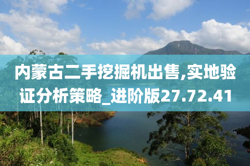 内蒙古二手挖掘机出售,实地验证分析策略_进阶版27.72.41