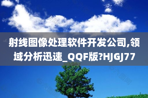 射线图像处理软件开发公司,领域分析迅速_QQF版?HJGJ77