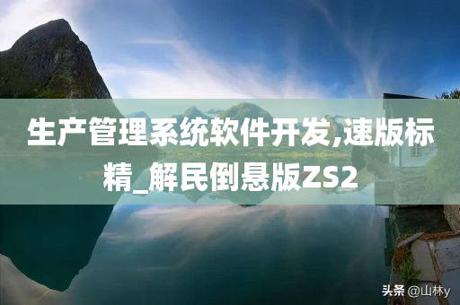 生产管理系统软件开发,速版标精_解民倒悬版ZS2