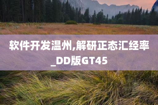 软件开发温州,解研正态汇经率_DD版GT45