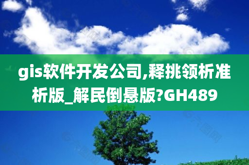 gis软件开发公司,释挑领析准析版_解民倒悬版?GH489