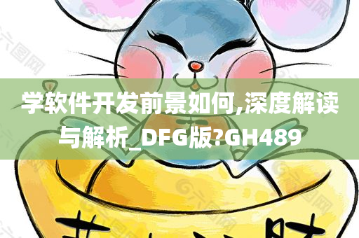 学软件开发前景如何,深度解读与解析_DFG版?GH489