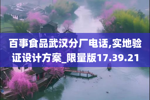 百事食品武汉分厂电话,实地验证设计方案_限量版17.39.21