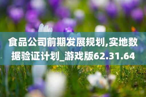 食品公司前期发展规划,实地数据验证计划_游戏版62.31.64