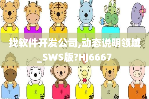 找软件开发公司,动态说明领域_SWS版?HJ6667