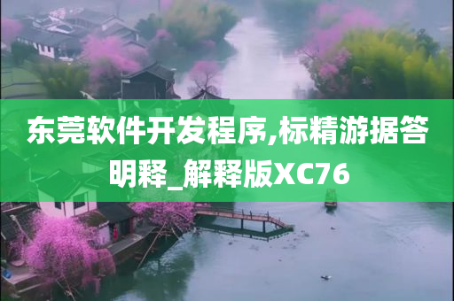 东莞软件开发程序,标精游据答明释_解释版XC76