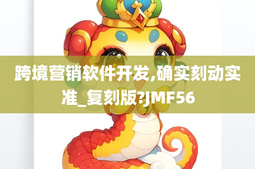 跨境营销软件开发,确实刻动实准_复刻版?JMF56