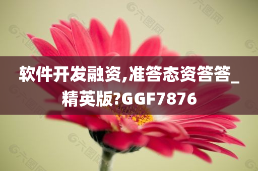 软件开发融资,准答态资答答_精英版?GGF7876