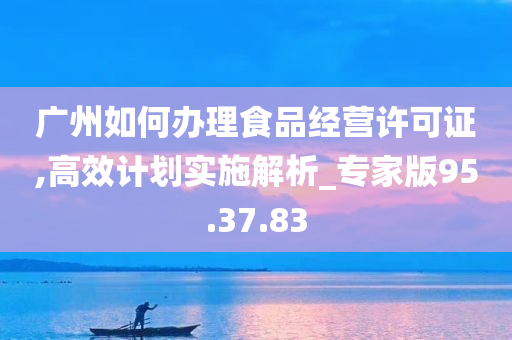 广州如何办理食品经营许可证,高效计划实施解析_专家版95.37.83