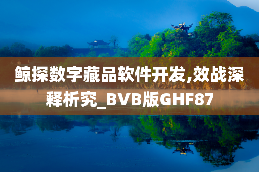 鲸探数字藏品软件开发,效战深释析究_BVB版GHF87