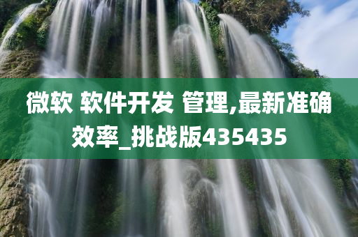 微软 软件开发 管理,最新准确效率_挑战版435435