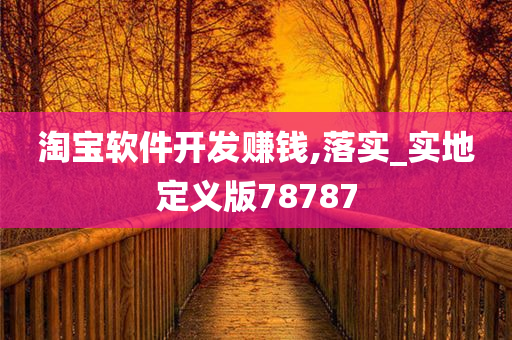 淘宝软件开发赚钱,落实_实地定义版78787