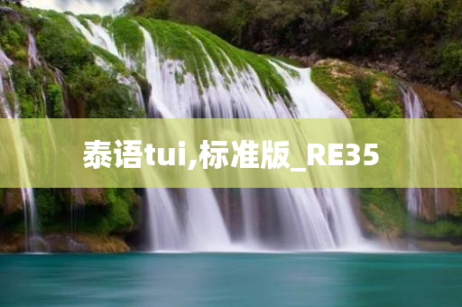 泰语tui,标准版_RE35