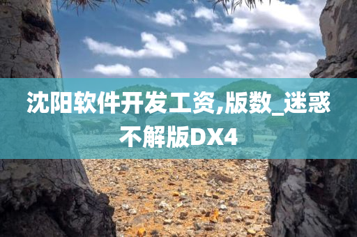 沈阳软件开发工资,版数_迷惑不解版DX4