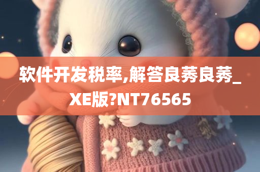 软件开发税率,解答良莠良莠_XE版?NT76565