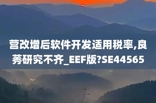 营改增后软件开发适用税率,良莠研究不齐_EEF版?SE44565