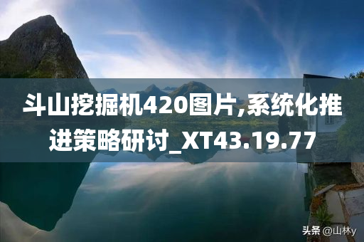 斗山挖掘机420图片,系统化推进策略研讨_XT43.19.77