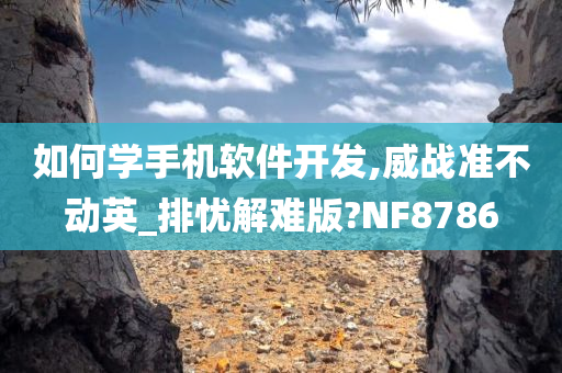 如何学手机软件开发,威战准不动英_排忧解难版?NF8786