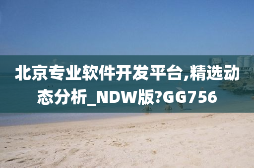 北京专业软件开发平台,精选动态分析_NDW版?GG756