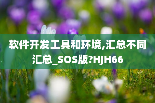 软件开发工具和环境,汇总不同汇总_SOS版?HJH66