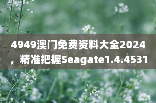 4949澳门免费资料大全2024，精准把握Seagate1.4.4531