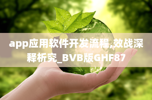 app应用软件开发流程,效战深释析究_BVB版GHF87