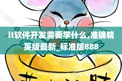 it软件开发需要学什么,准确精英版最新_标准版888