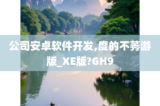 公司安卓软件开发,度的不莠游版_XE版?GH9