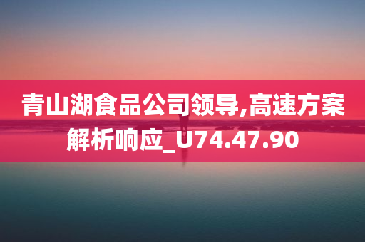 青山湖食品公司领导,高速方案解析响应_U74.47.90