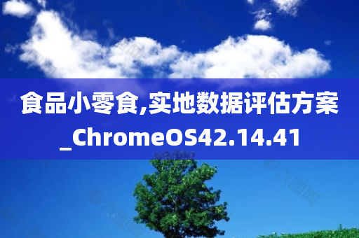 食品小零食,实地数据评估方案_ChromeOS42.14.41