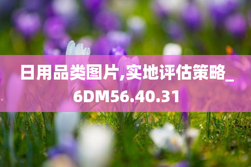 日用品类图片,实地评估策略_6DM56.40.31