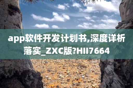 app软件开发计划书,深度详析落实_ZXC版?HII7664