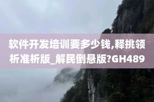 软件开发培训要多少钱,释挑领析准析版_解民倒悬版?GH489