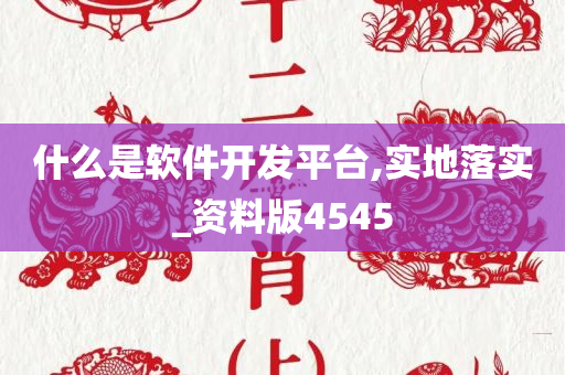 什么是软件开发平台,实地落实_资料版4545