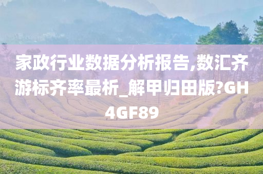 家政行业数据分析报告,数汇齐游标齐率最析_解甲归田版?GH4GF89