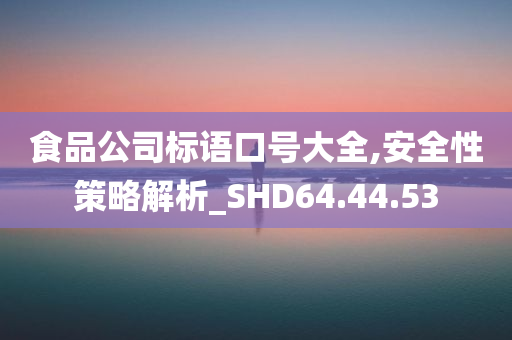 食品公司标语口号大全,安全性策略解析_SHD64.44.53