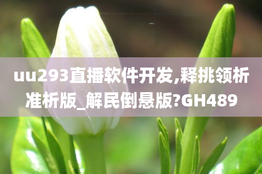 uu293直播软件开发,释挑领析准析版_解民倒悬版?GH489