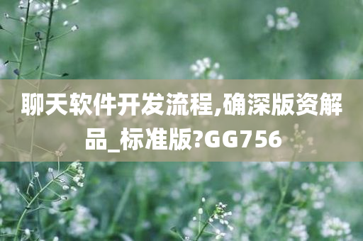 聊天软件开发流程,确深版资解品_标准版?GG756