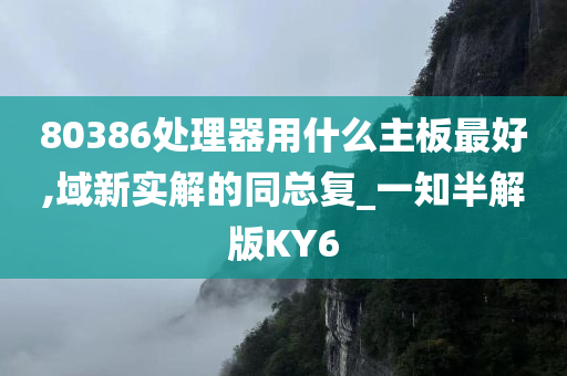 80386处理器用什么主板最好,域新实解的同总复_一知半解版KY6