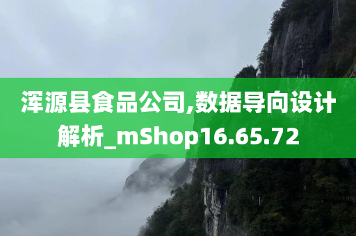 浑源县食品公司,数据导向设计解析_mShop16.65.72