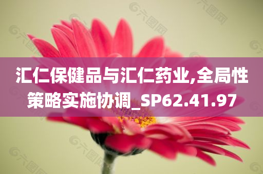 汇仁保健品与汇仁药业,全局性策略实施协调_SP62.41.97