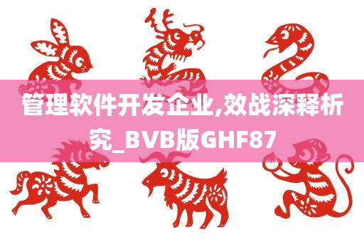 管理软件开发企业,效战深释析究_BVB版GHF87